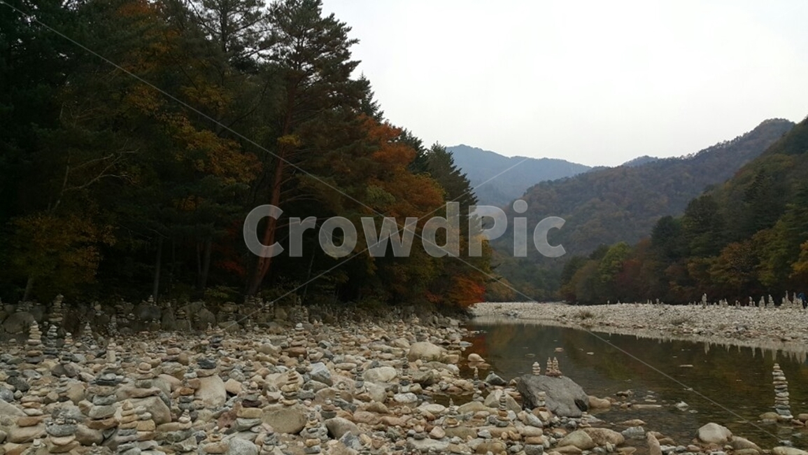 설악산,설악산구경,설악산단풍,가을풍경,가을날씨,흐린날,가을소풍,계곡,자갈,산,바위,자연,plant