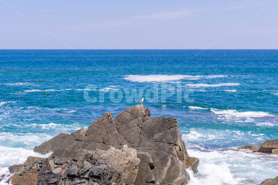 동해,바다,하늘,파도,해변,sea,sky,waves