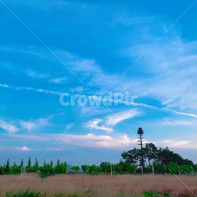 풍경,구름,들판,자연,nature