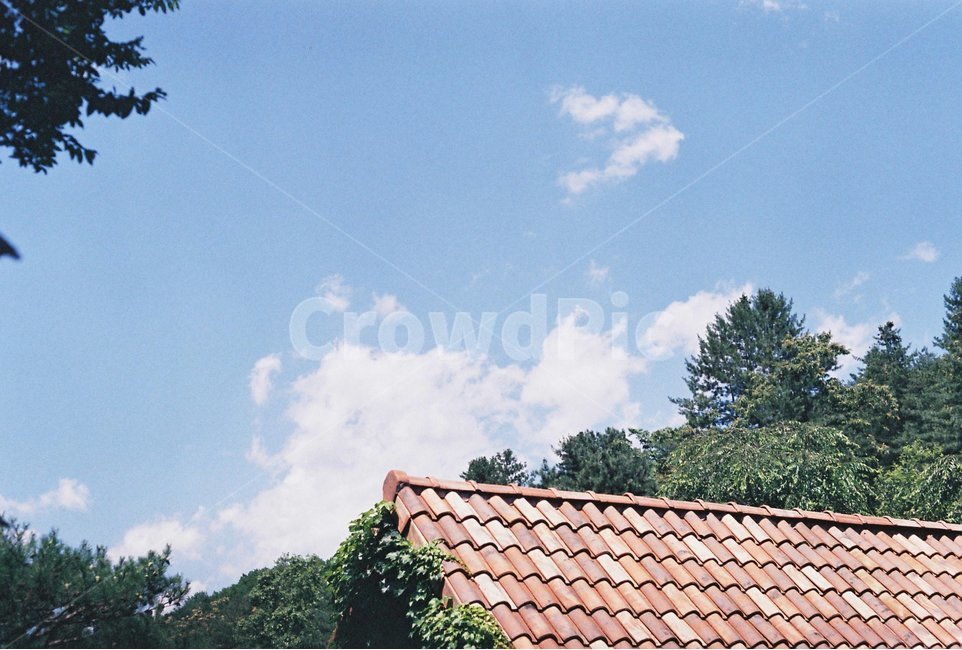 하늘,구름,지붕,나무,공원,기와,산,초록색,흰구름,집,초록,sky,house,tree,제이드가든,garden,자연,풍경,nature,landscape,건축물,건물외관,exterior,building,structure,architecture,construction,roof