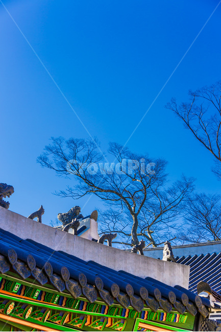 기와,단청,고궁,문화유산,패턴,한국전통,한국문화,korean traditional,korean culture,건축물,건물외관,exterior,building,structure,architecture,construction