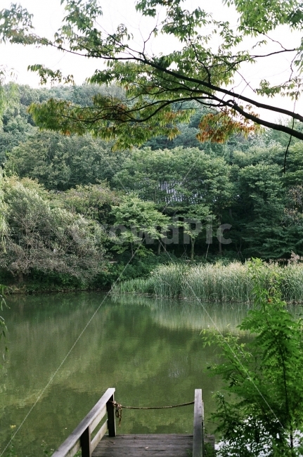 필름사진,한국민속촌,부둣가,부두,풍경사진,자연,풍경,nature,landscape,한국자연풍경,한국자연경관,korea nature landscape,water,물,outdoors,옥외,land,땅