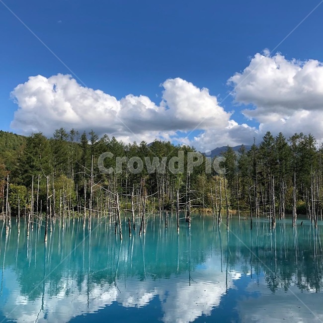 홋카이도,비에이,청의호수,자연,파란하늘,nature,sky,cloud,water,japan,자연,풍경,nature,landscape