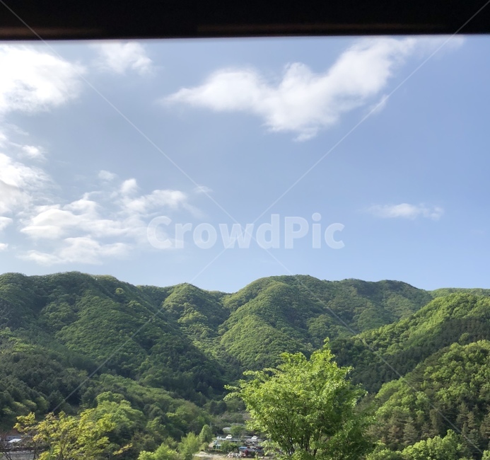 nature,자연,산,moutain,나무,trees,풍경
