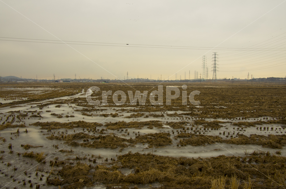 들판,얼음,논,겨울,논들,논두렁,scene,view,feeling,emotion,nature,landscape,winter,rural,korea,rice,ricestubble,stubble,field,harvest,ice,풍경,감정,감성,자연,계절,풍경사진,감성사진,정취