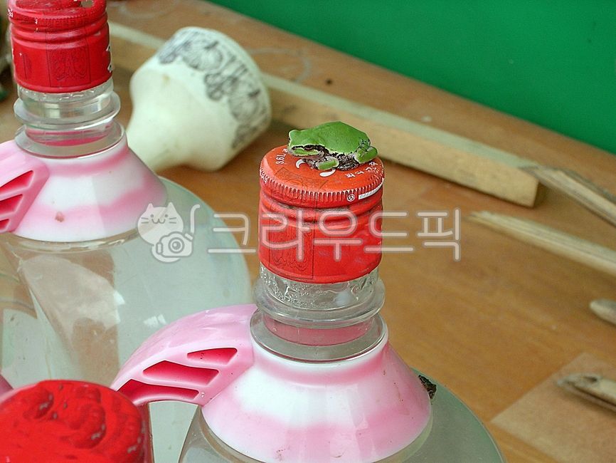 outdoor,greentreefrog,frog,bottle,tree frog