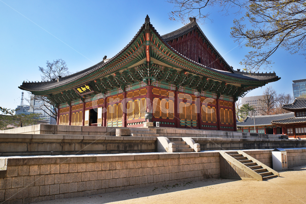 중화전,월대,보물제819,정전,덕수궁,궁궐,대한제국,고종