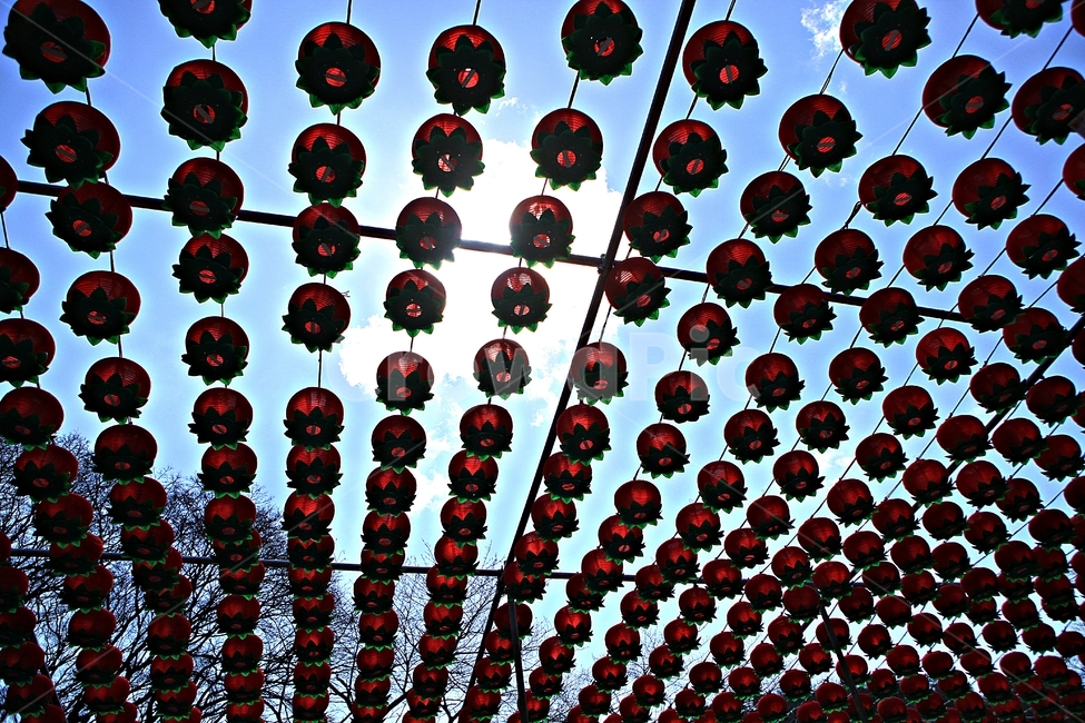 연등,등,소원,풍경,배경,자연,종교,신앙,religion,belief,faith,축제,행사,festival,carnival,event