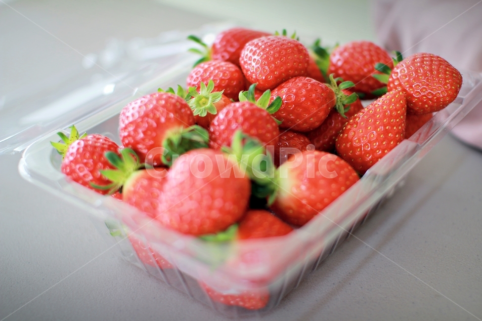 딸기,과일,열매,음식,red,먹음직,작물,식물,온실,하우스딸기,strawberry,먹거리,음식,식재료,요리,food,cook,meal,dishes,food reserves,과일,열매,fruit