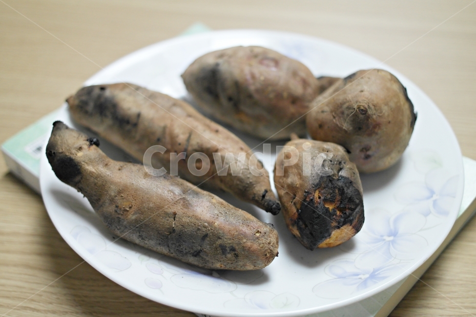 고구마,군고구마,호박고구마,간식,겨울간식,겨울,계절,winter,season,음식,식재료,요리,food,cook,meal,dishes,food reserves