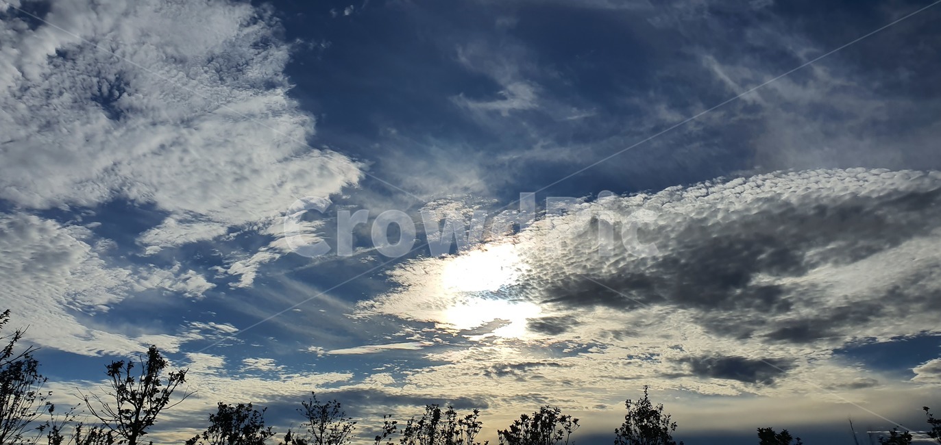 nature,자연,outdoors,옥외,하늘,날씨,weather,나무,자연,풍경,nature,landscape