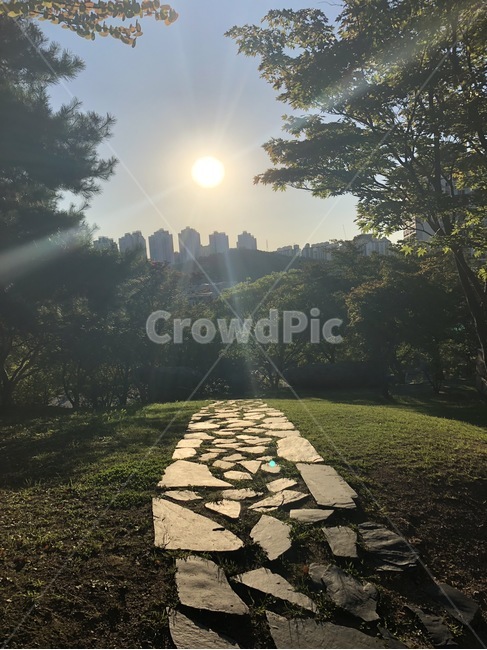 석양,하늘,아파트,태양,빛,도시,풍경,city,landscape,flare,플레어,light,flagstone,판석,path,통로,walkway,보도,sunlight,햇빛