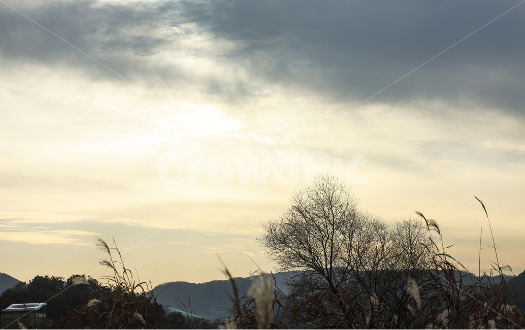 가을풍경,가을느낌,가을하늘,일몰,늦은오후,가을,계절,fall,autumn,season,자연,풍경,nature,landscape,grass,잔디,plant,식물