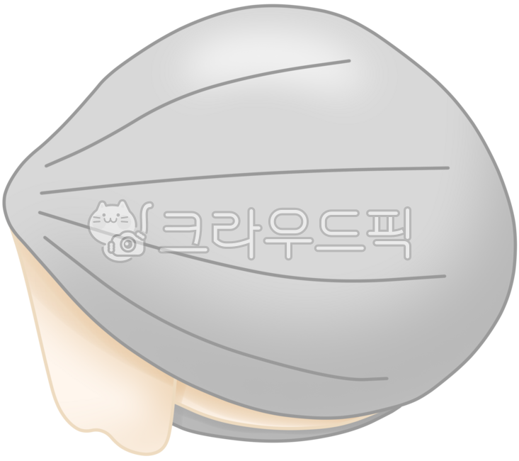 바지락,해산물,수산물,조개류,바다조개,해양생물,바다생명체,조개일러스트,바지락그림,바지락일러스트,감성해산물,바닷속생물,감성바다,해양감성,해양자연,자연생물,바다풍경,여름바다,조개묘사,바다감성,귀여운해산물,자연표현,바다연출,힐링바다,바다친구들,수중생물,바다속풍경,조개캐릭터,바다이야기,해양테마,여름감성,바다꾸미기,감성일러스트,자연속생물,해양생태계,음식느낌표현,바지락색감,독특한조개,해양표현