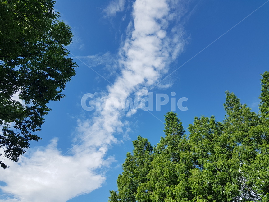 하늘,구름,푸른,나무,자연,자연,풍경,nature,landscape,outdoors,옥외,weather,날씨