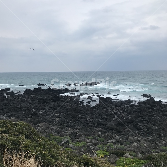 바다,해변,제주도,제주바다,제주풍경,용머리해안,제주,힐링