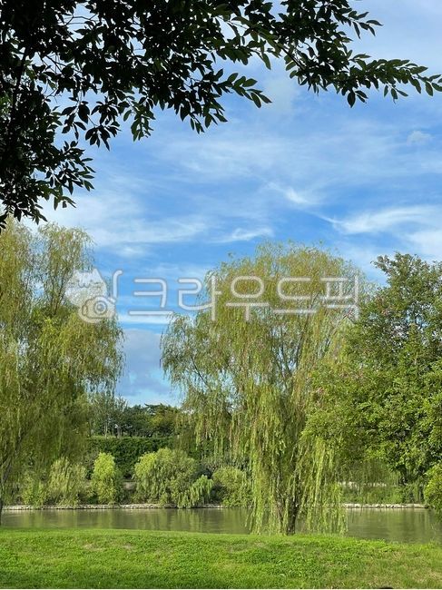 강,한강,한강공원,공원,피크닉,outdoors,나무,옥외,plant