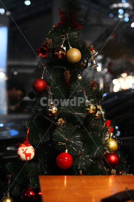 christmastree,크리스마스트리,tree,나무,ornament,장식,메리크리스마스,성탄절,merry christmas