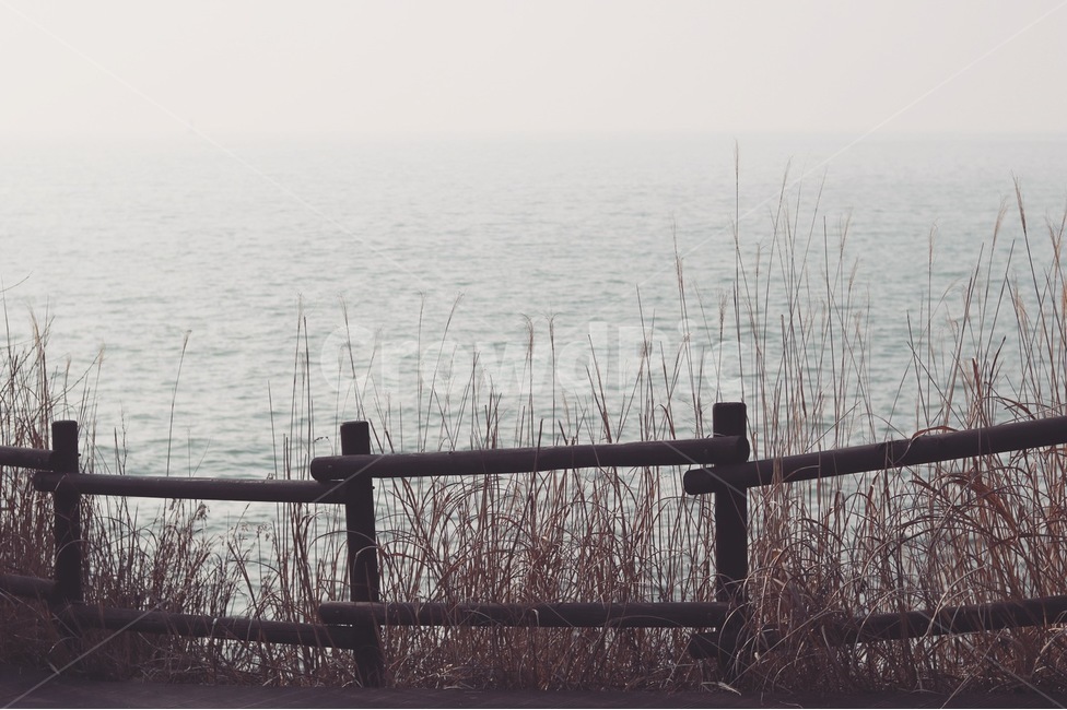 바다,해수욕장,격포,억새,갈대,자연,풍경,nature,landscape,railing,난간