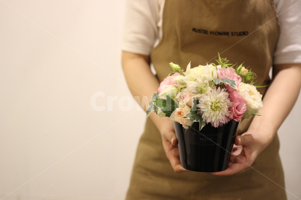 plant,식물,flower,꽃,person,꽃꽂이
