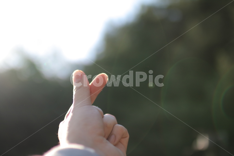 하트,느낌,감성,아웃포커싱,손하트,사람,인물,인간,human,person,신체일부,몸,body,감정표현,기분,feeling,emotion,감성,sensible