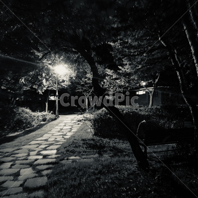 풍경,공원,가로등,어둠,빛,야경,밤,풍경,nightscape,night,landscape