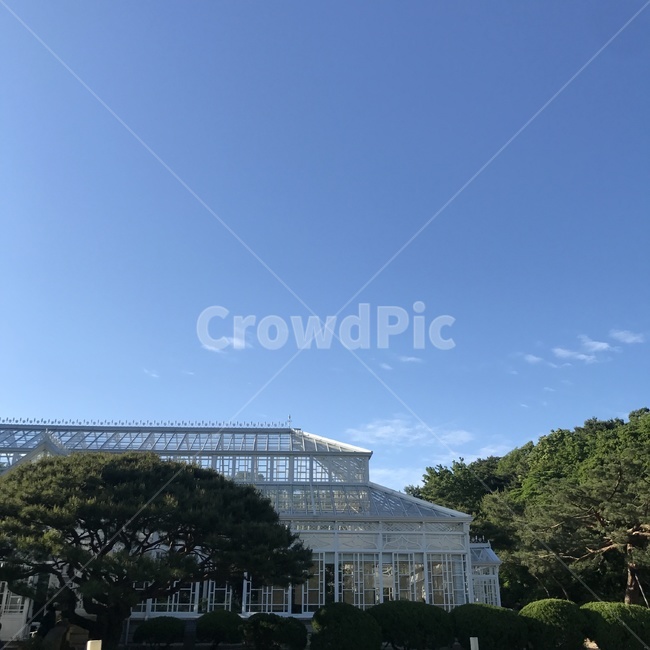 창경궁,궁,산책,공원,자연,한국정원,정원,가든,강,휴식,힐링,나무,연못,여름,분수,분수대,궁전,자연환경,풍경,그림자,식물원,창문,식물