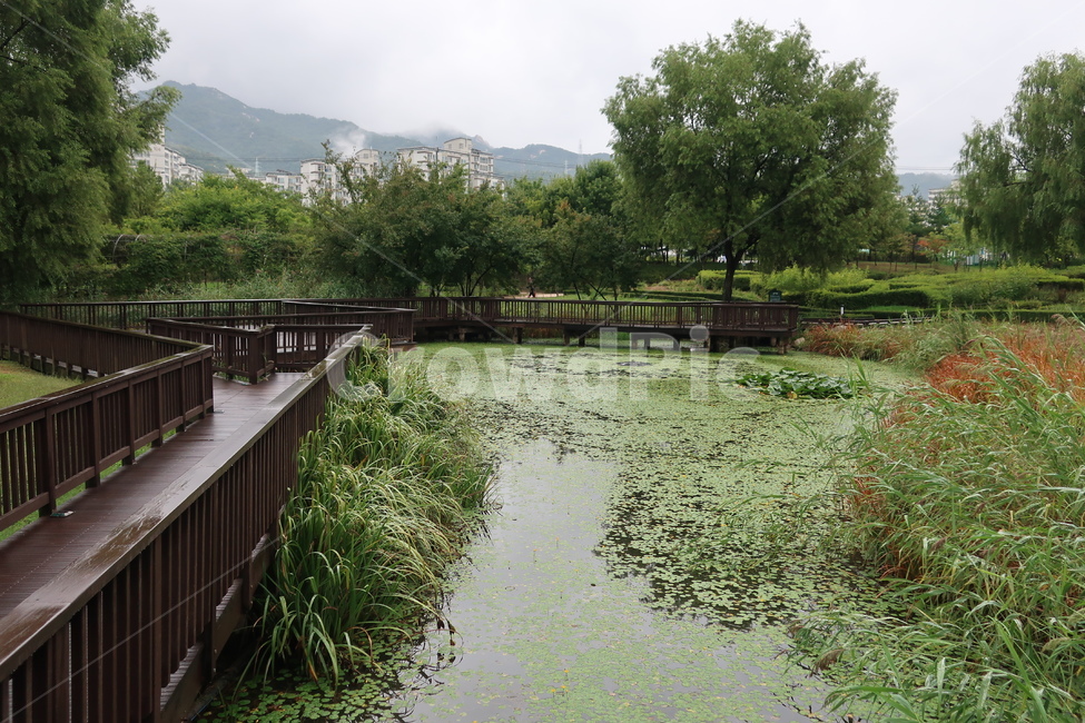 서울,창포원,식물원,도시,공원,습지,조성,숲,산책,산책로,자연,풍경,nature,landscape,building,건물