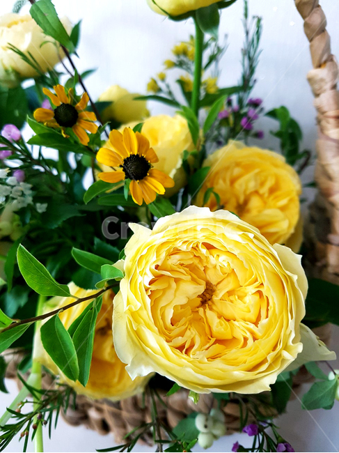 꽃바구니,노란장미,flower,줄리엣장미,루드베키아,축하