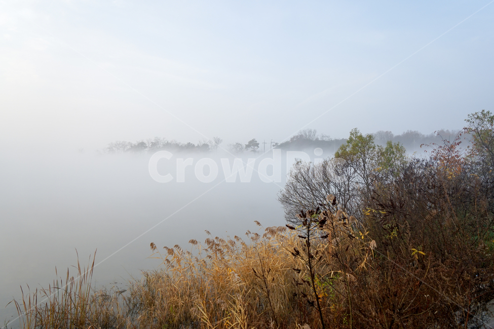 호수,새벽,풍경,안개,물안개,여명,자연,자연,풍경,nature,landscape,weather,날씨,outdoors,옥외