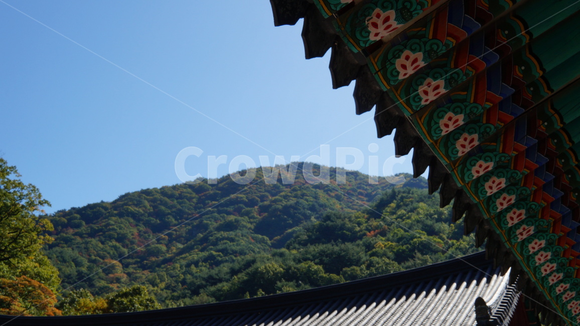 절,지붕,기와,하늘,산
