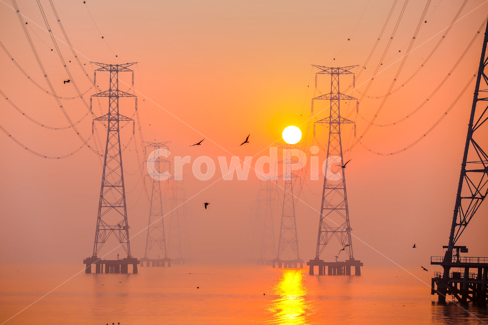풍경,아침,새벽,새,철탑,일출,시화호,일출명소,바다,감성,sunset,scenery,emotions,sea,bird,자연,풍경,nature,landscape,동물,animal,조류,새,birds,감성,sensible,feeling,색깔,색상,색채,색감,color sense,color sensitivity,feeling of color,산업,industry,industrial,에너지산업,energy industry,cable,케이블,power lines,전력선