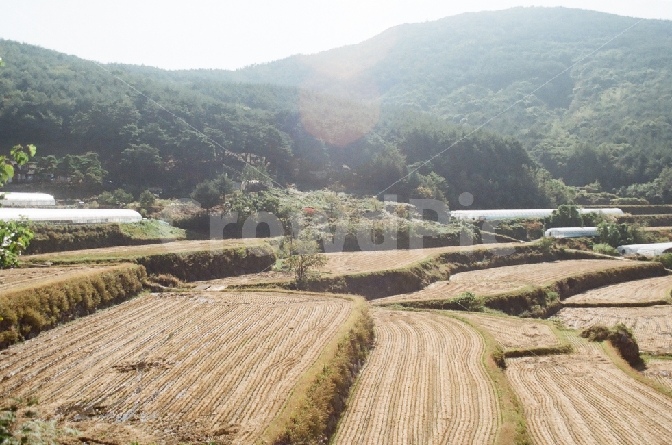 다랭이논,계산식논,다랭이,농촌,시골,자연,풍경,nature,landscape,한국자연풍경,한국자연경관,korea nature landscape,시골,마을,country,rural,town,농업,농사,agriculture,farming,farming industry,outdoors,옥외
