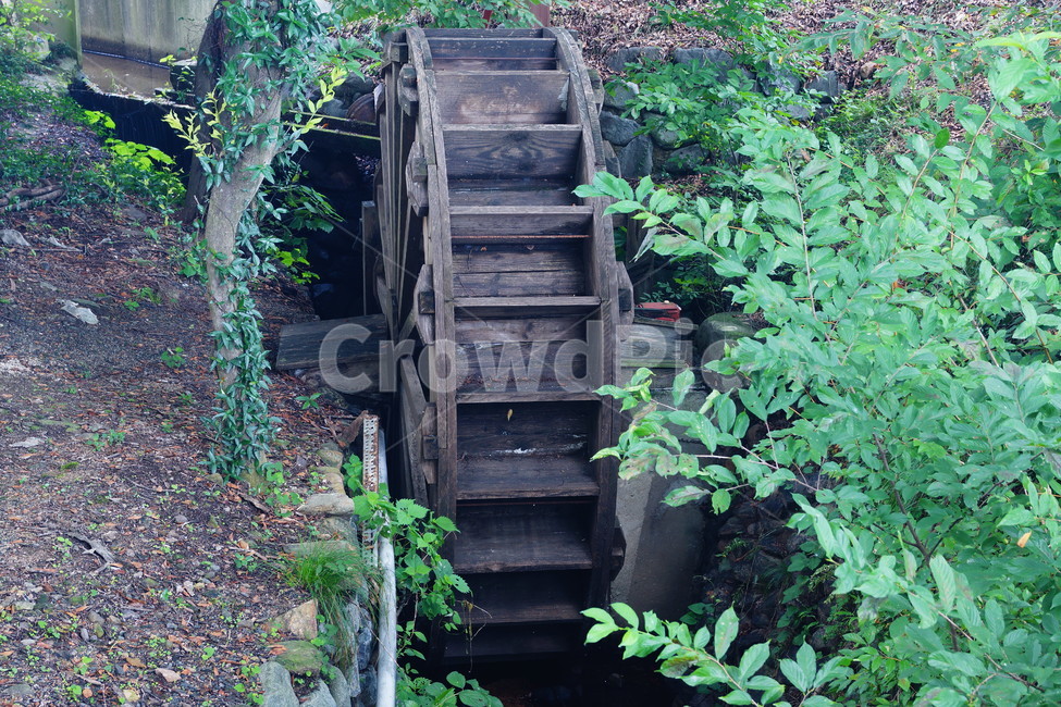 nature,자연,land,water,물,물레방아,식물,자연,plants,nature,사물,물건,오브젝트,thing,object,matter