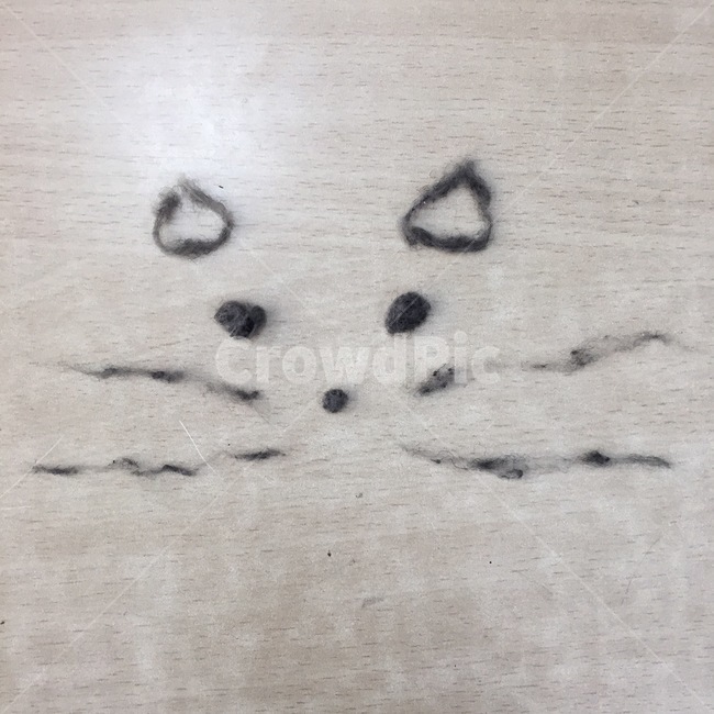 고양이,검은색,털,수염,메이드