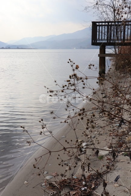 겨울,강,풍경,마른풀,식물,겨울,계절,winter,season,자연,풍경,nature,landscape,outdoors,옥외,water,물