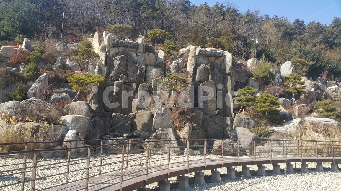 자연,바위,돌,나무,풍경,nature
