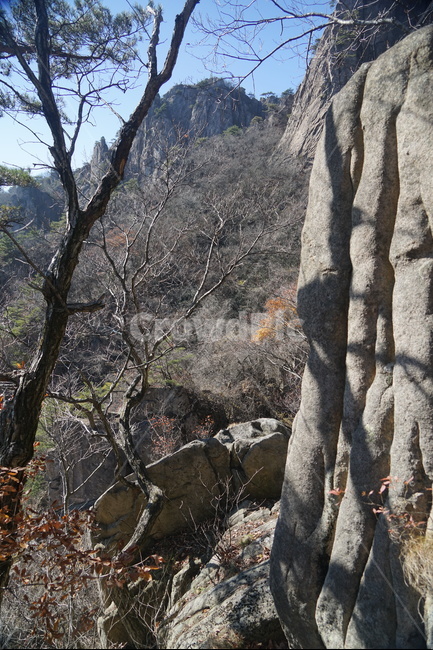 산,나무,바위,풍경,절벽,가을산,자연,풍경,nature,landscape,tree,plant,식물,tree trunk,나무 줄기