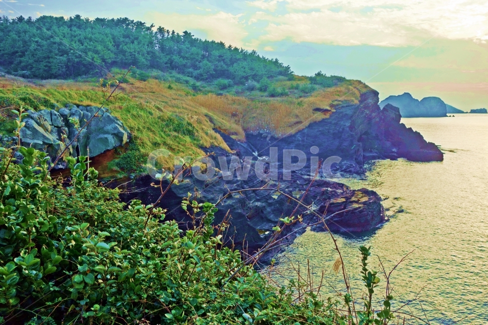 제주도,당산봉,해안절벽,숲,나무,바다,파도,물결,섬,오름,산,화산,제주,제주도여행,제주여행,여행,자연,풍경,경치,아름다운,전망,그림,같은,뷰,추천,여행지,관광지,관광,해안,절벽,바위,돌,현무암,바닷가,해안가,흰,구름,하늘,푸른,자연,풍경,nature,landscape,한국자연풍경,한국자연경관,korea nature landscape,제주도,jeju,jeju island,outdoors,옥외