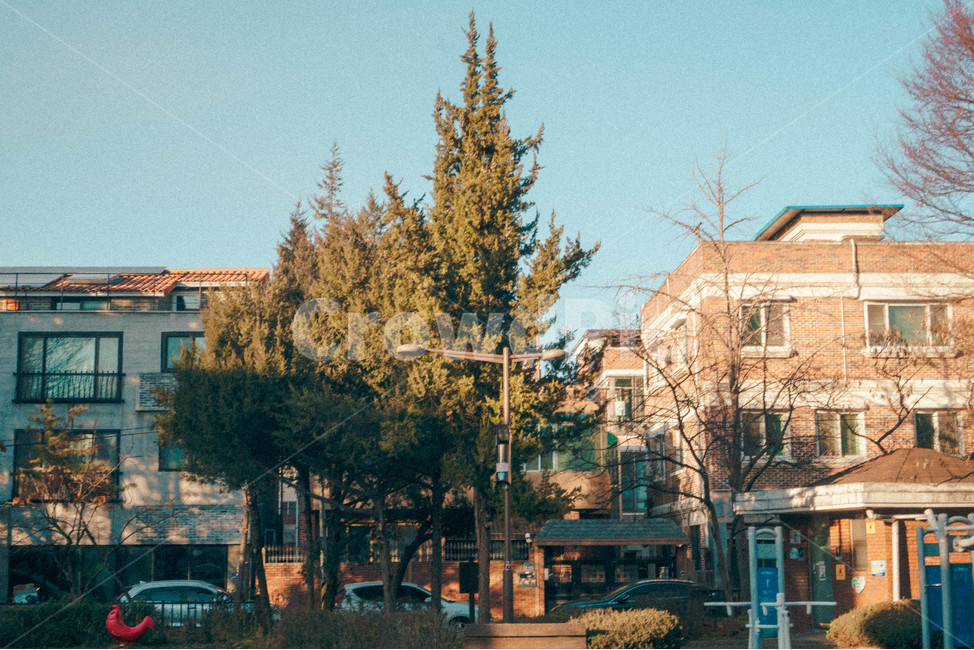 동네,공원,필름,공터,벤치,초겨울,도시,풍경,city,landscape,골목길,alley,tree,나무,plant,식물