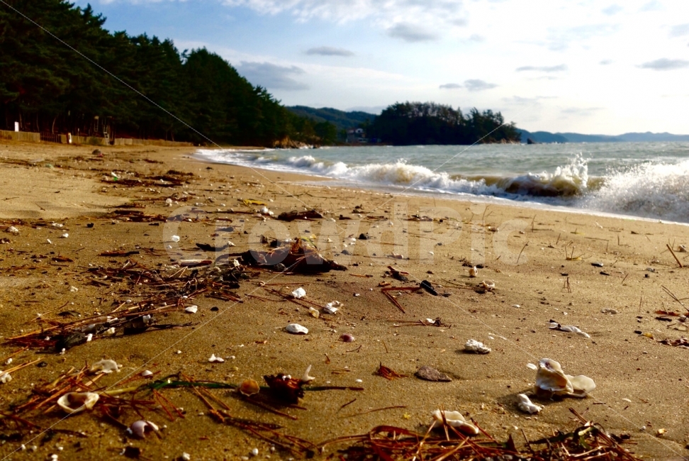 서해,서해바다,해변,파도,여행,기을바다,낙조,조용함,자연,풍경,nature,landscape,해변,바다,beach,sea,ground,바닥