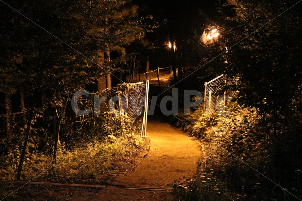 우면산,등산로입구,혼자가기엔,무섭다,철조망,자연,풍경,nature,landscape,야경,밤,nightscape,night,path,통로