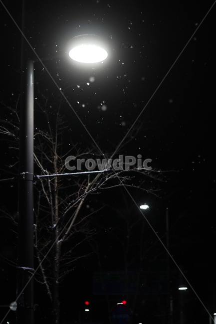 가로등,눈,겨울,풍경,빛,lighting,조명