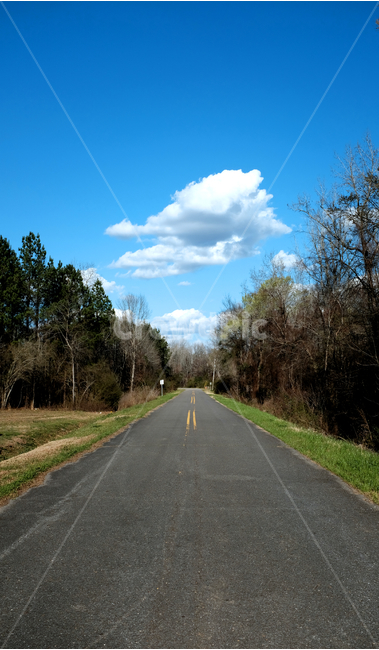 도로,하늘,구름,나무,맑음,자연,풍경,nature,landscape,road,asphalt,아스팔트,freeway,고속 도로,highway,고속도로