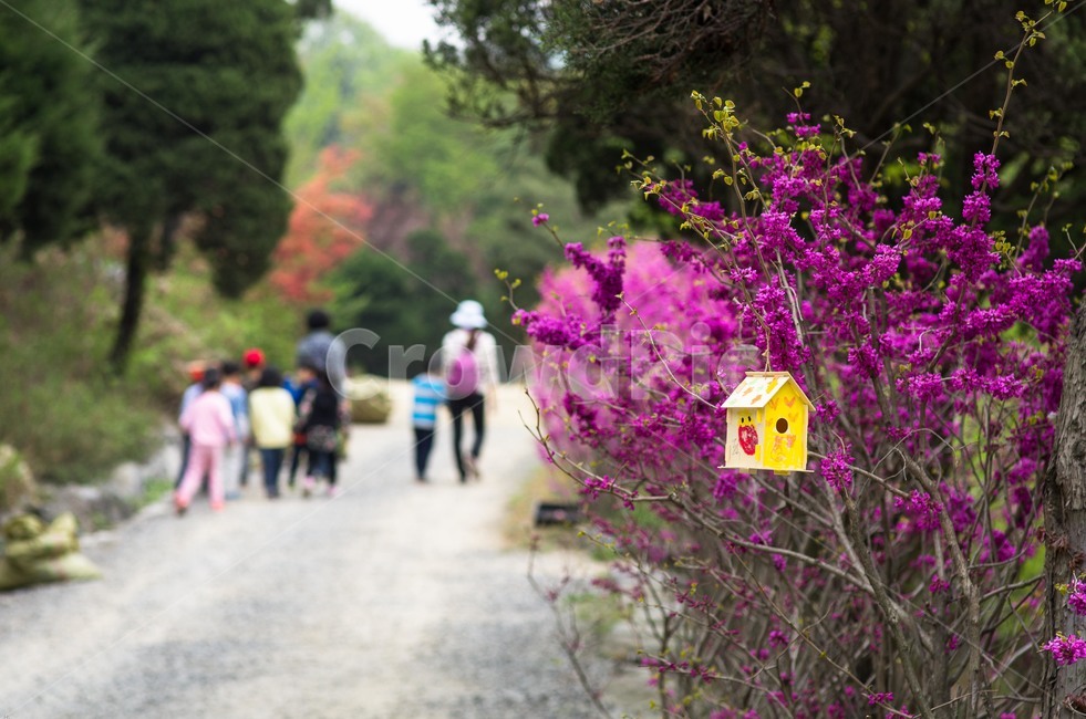 식물원,정원,우체통,소풍,사람