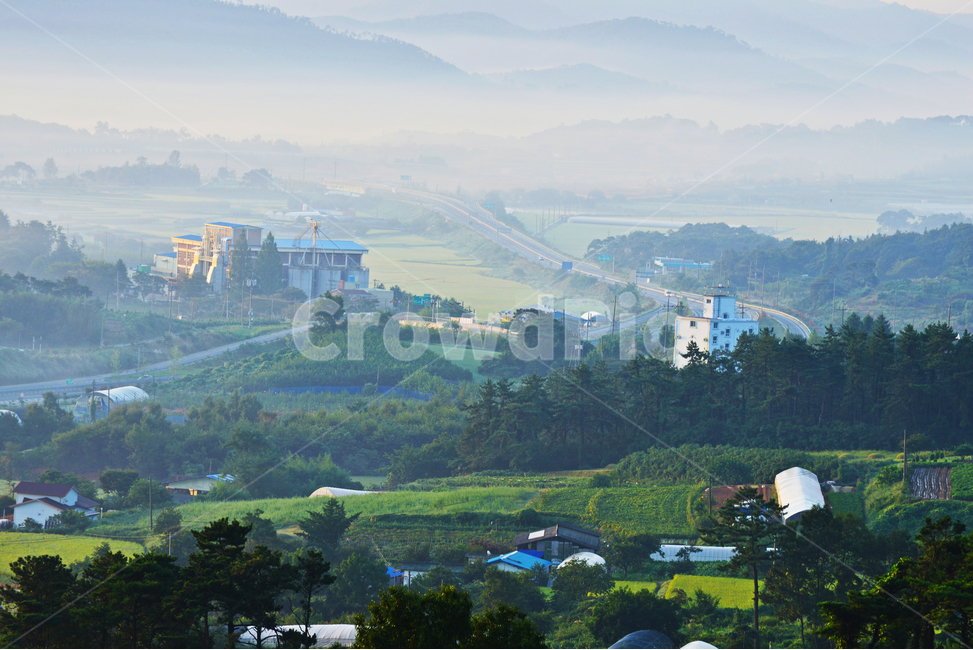 outdoors,옥외,landscape,nature,자연,scenery,sky,하늘,dawn,새벽,redsky,붉은하늘,weather,날씨,함평,밀재,밀재일출,아침,운해,여명,해돋이,경치,경관,풍경,농촌,농업,농경,농사,경작,자연,풍경,nature,landscape,한국자연풍경,한국자연경관,korea nature landscape