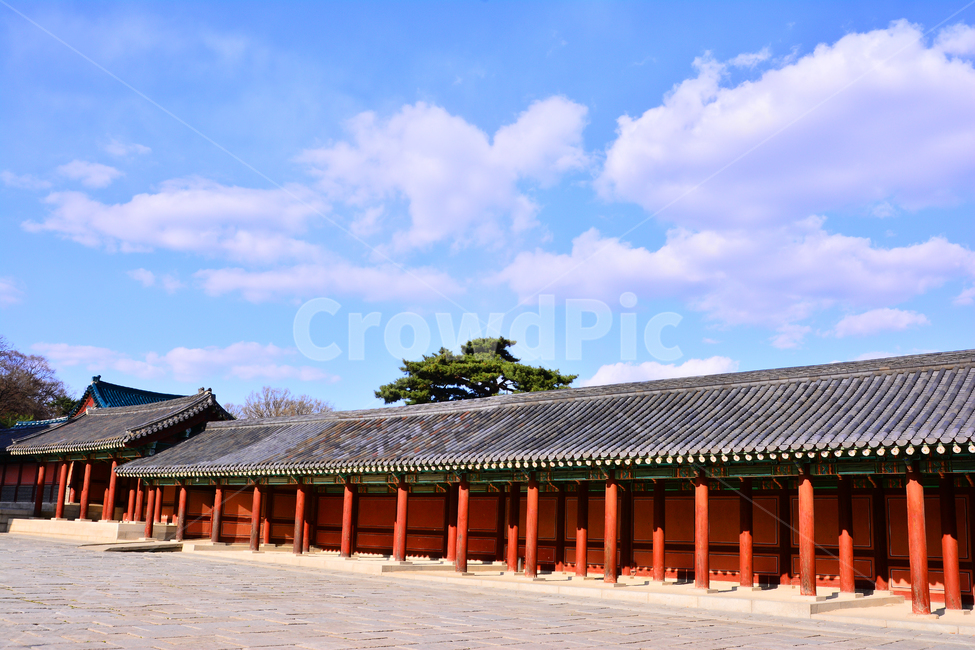 한국전통,고궁,창덕궁,궁궐,서울,명소,traditional,korean,house,건축물,집,하우스,조선시대,보존,전통,역사,하늘,구름,청명,ancientpalace,바탕,백그라운드,배경,기와집,history,background,한국전통,한국문화,korean traditional,korean culture,랜드마크,landmark,tourist attraction,한국랜드마크,한국관광지,한국명소,korea landmark,korea tourist attraction,건축물,건물외관,exterior,building,structure,architecture,construction