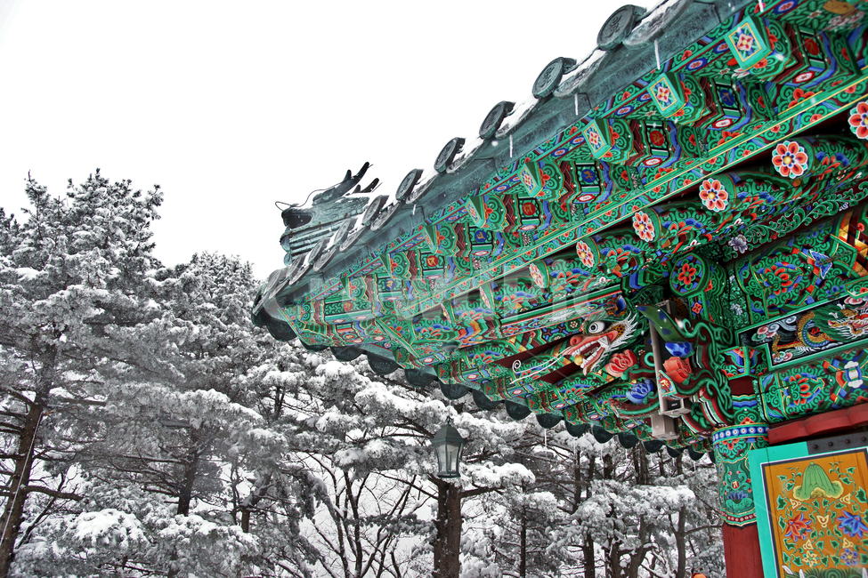 오대산,강원도,사찰,설경,적멸보궁,암자,처마,단청,겨울,계절,winter,season,한국전통,한국문화,korean traditional,korean culture,종교,신앙,religion,belief,faith