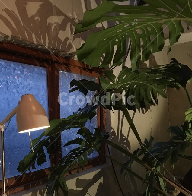 분위기,그림자,실내,스탠드,나무,인테리어,실내디자인,interior design