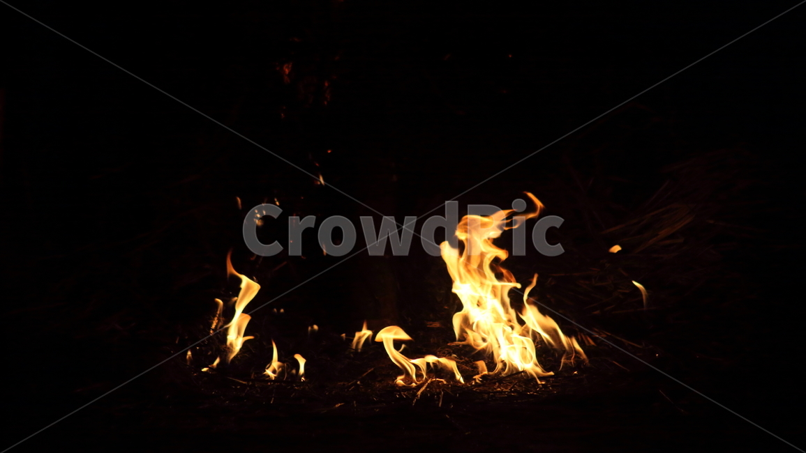불,달집태우기,모닥불,fire,민속놀이